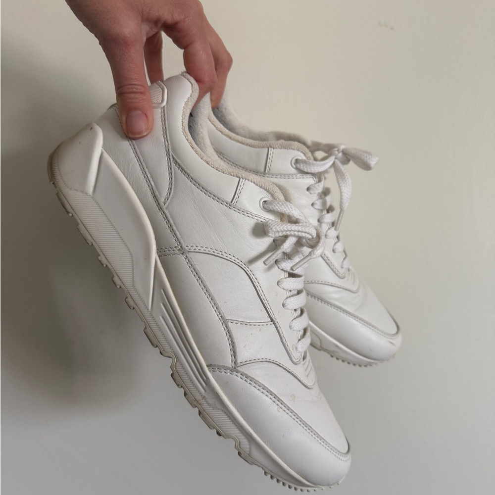 YSL trainers